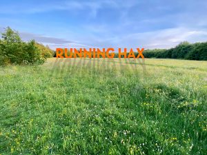 Running Hax