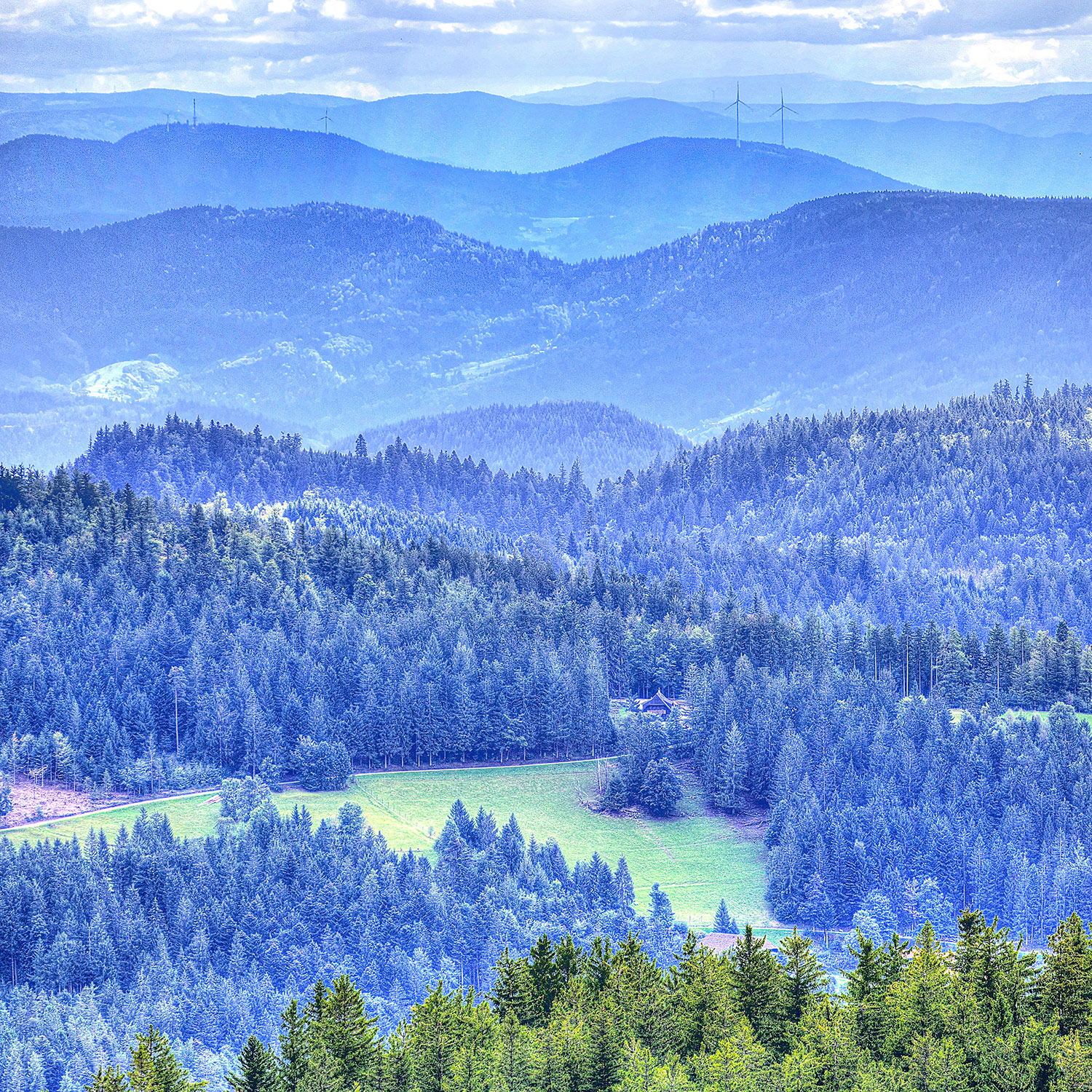 The Black Forest Germany