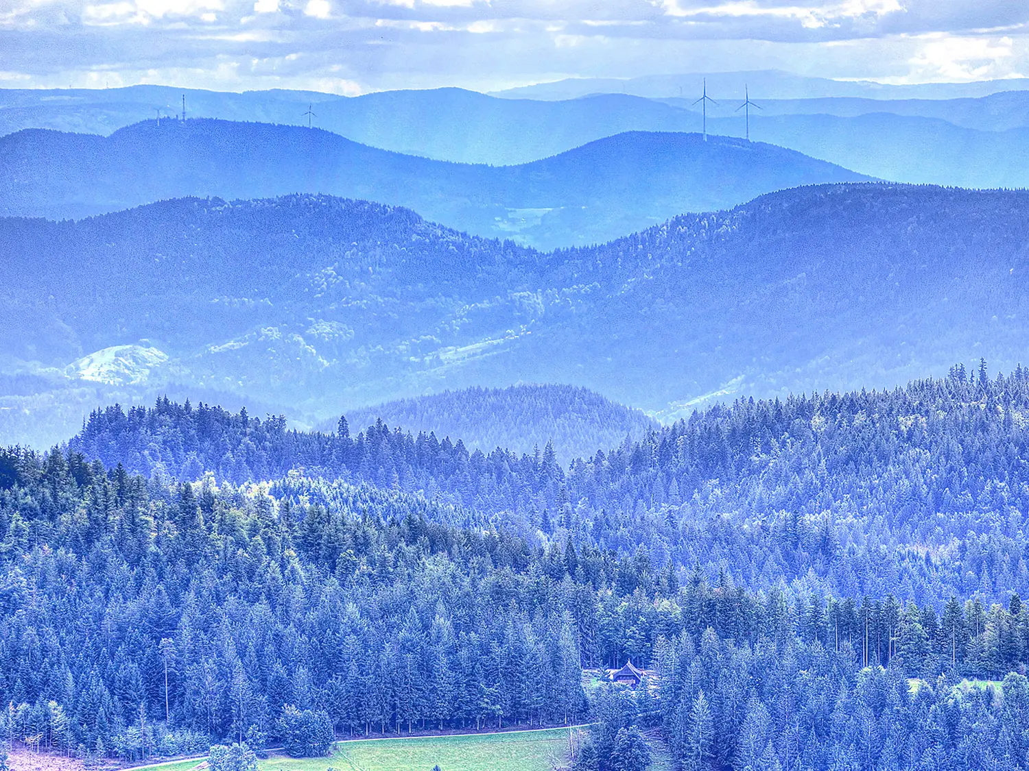 The Black Forest Germany TVR Tour