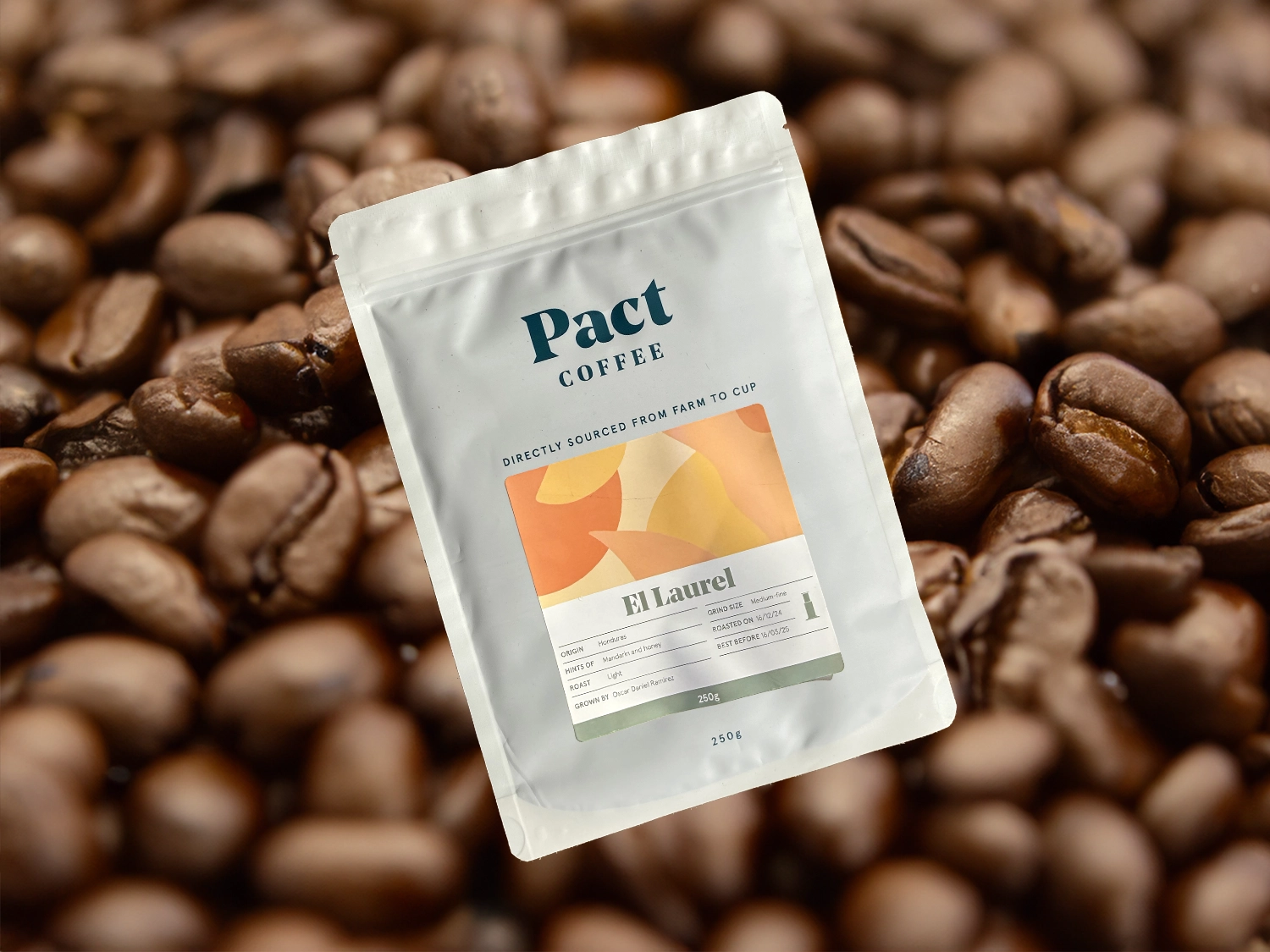 El Laurel Pact Coffee